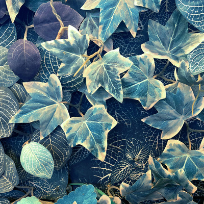 Мятный бриз