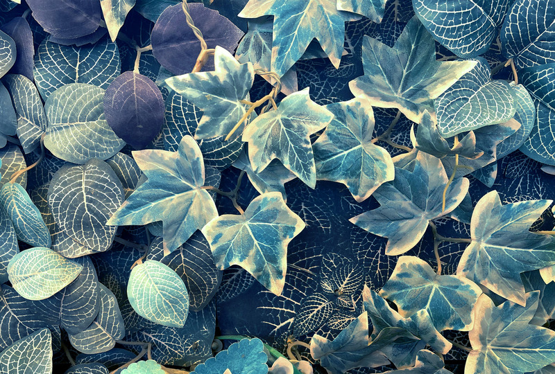 Мятный бриз