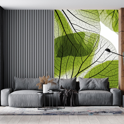 прозрачные зеленые листья