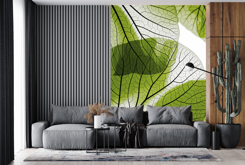 прозрачные зеленые листья