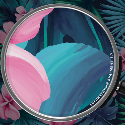 яркие краски джунглей