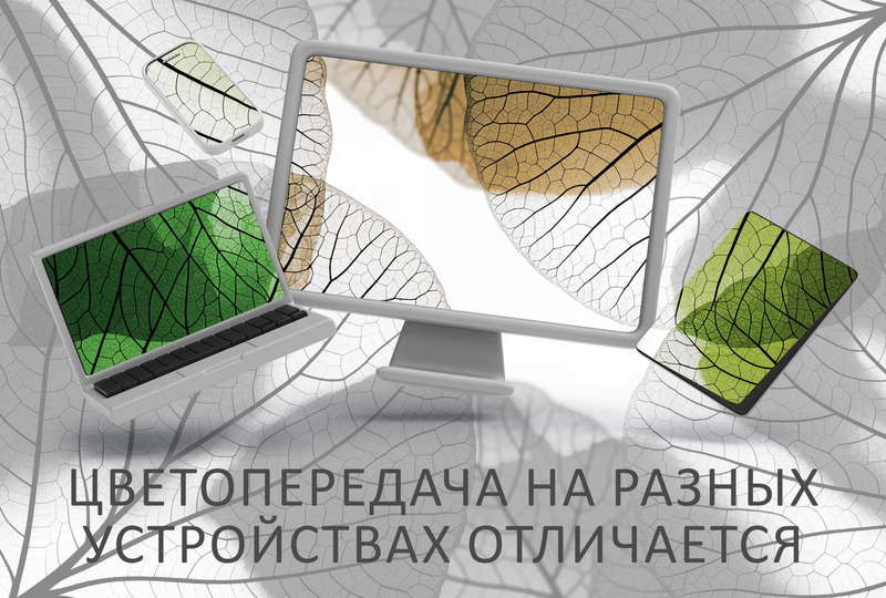 прозрачные зеленые листья