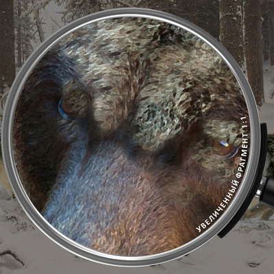 Атака волков на медведя