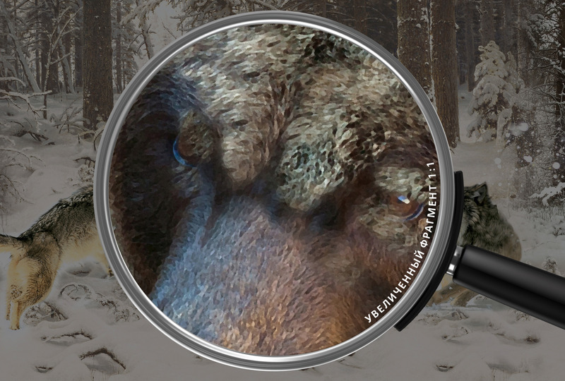 Атака волков на медведя