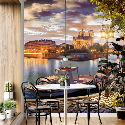 Лунный шарм Сены у Нотр-Дама