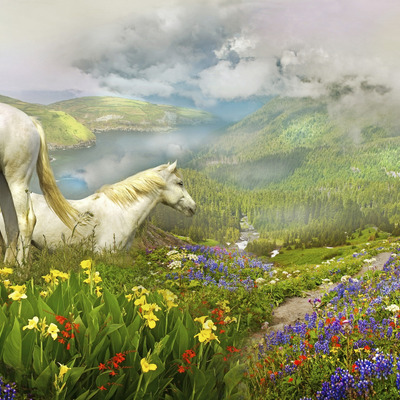 Лошади у цветочного озера