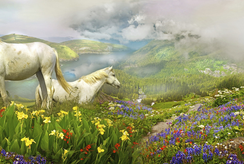 Лошади у цветочного озера