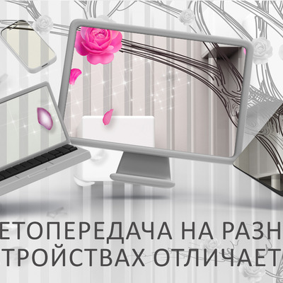 Розовый сад в 3D