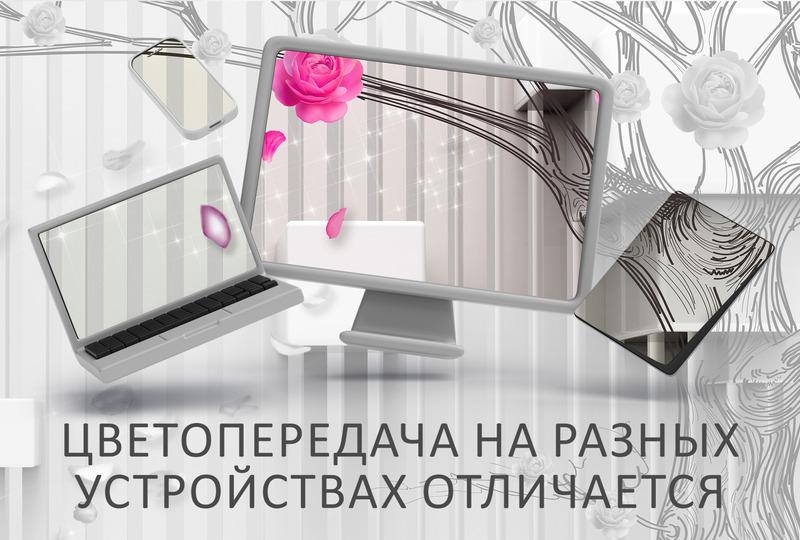 Розовый сад в 3D