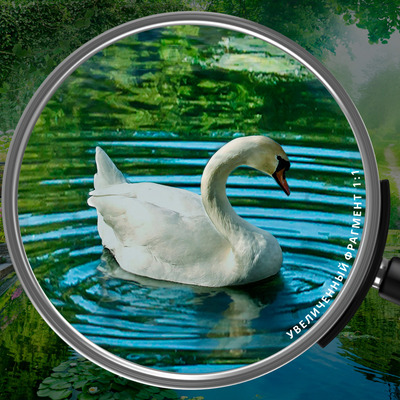 Лебедь в изумрудном саду