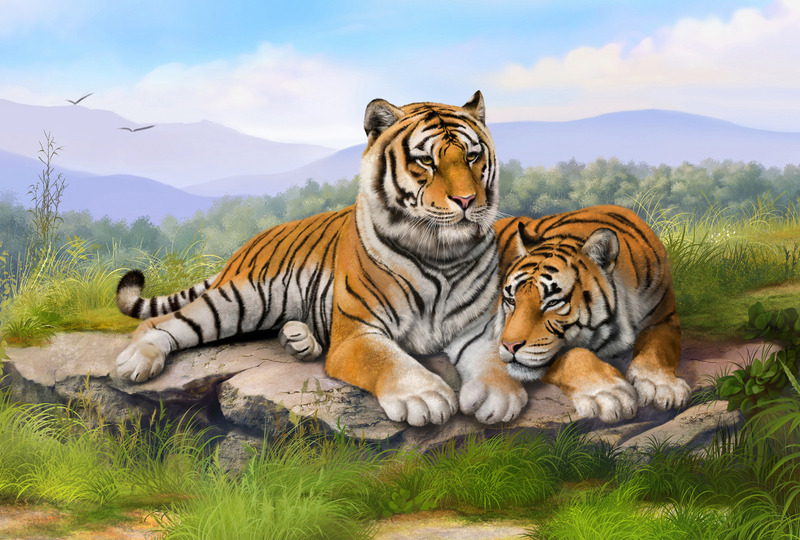 Два тигра в тишине