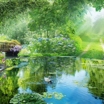 Лебедь в изумрудном саду