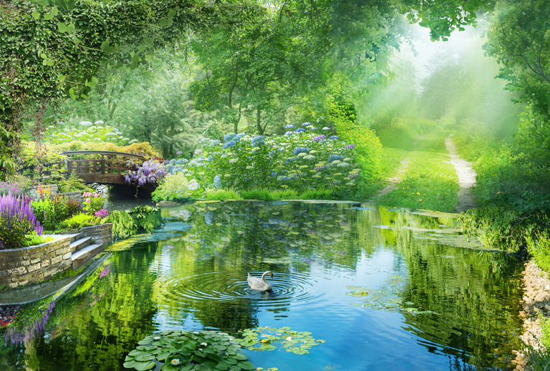 Лебедь в изумрудном саду