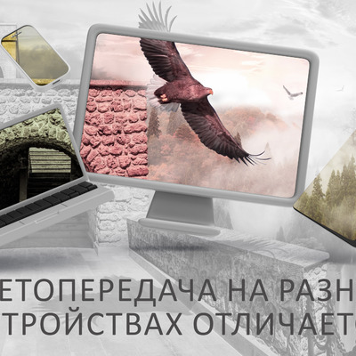 Орлы над водопадом