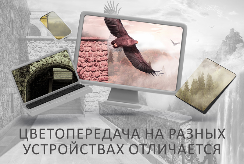 Орлы над водопадом