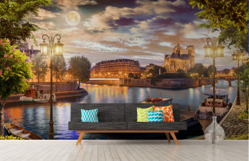 Лунный шарм Сены у Нотр-Дама