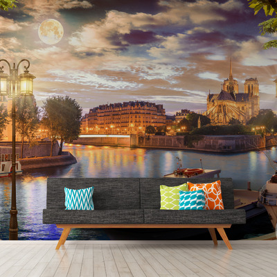 Лунный шарм Сены у Нотр-Дама