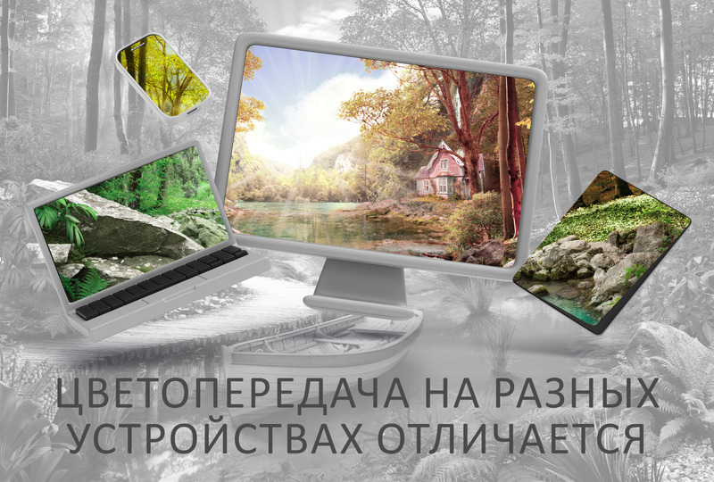 Уютный домик в лесу