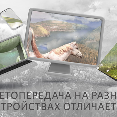 Лошади у цветочного озера