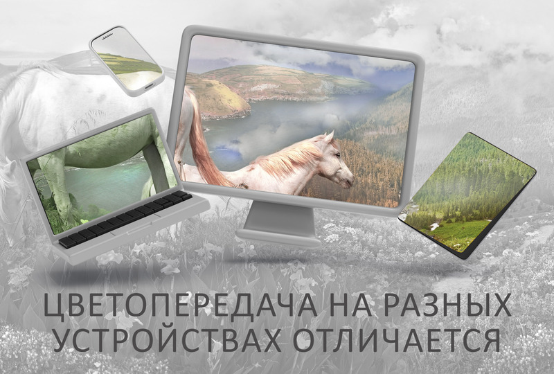 Лошади у цветочного озера