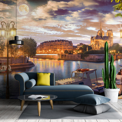 Лунный шарм Сены у Нотр-Дама