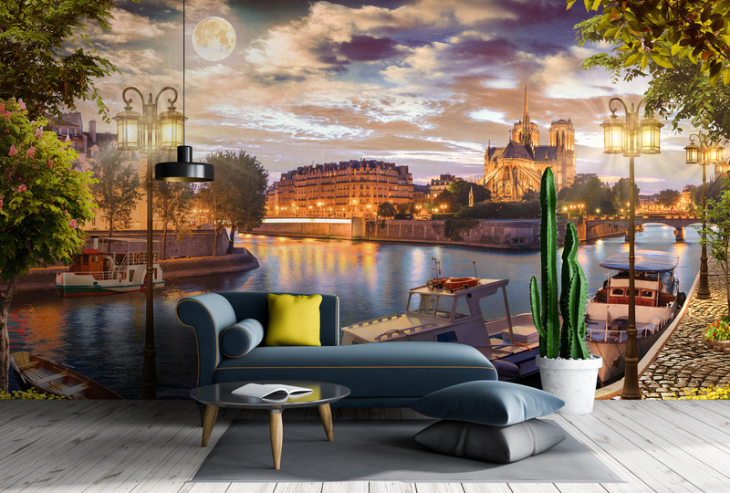 Лунный шарм Сены у Нотр-Дама