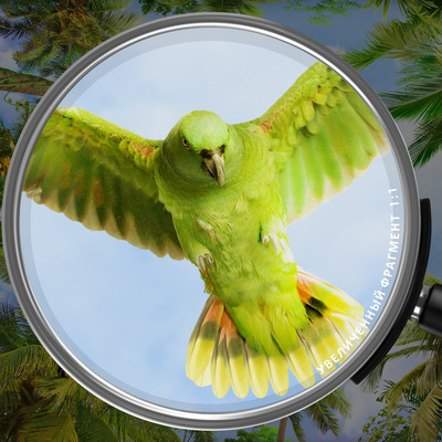 Тропический купол