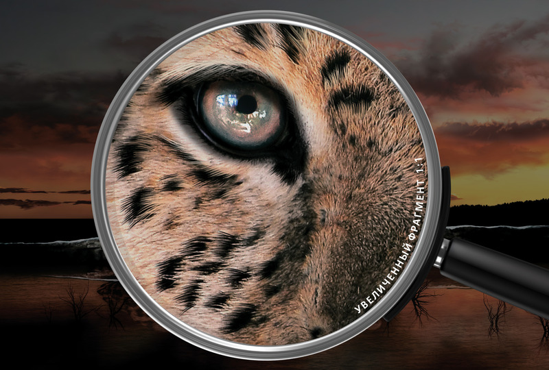 Ледяной леопард на закате