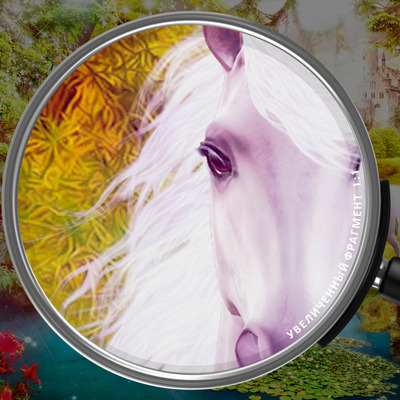 Заповедный лес единорогов