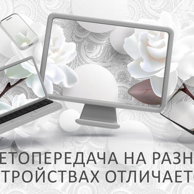 Белые розы на кружевном фоне