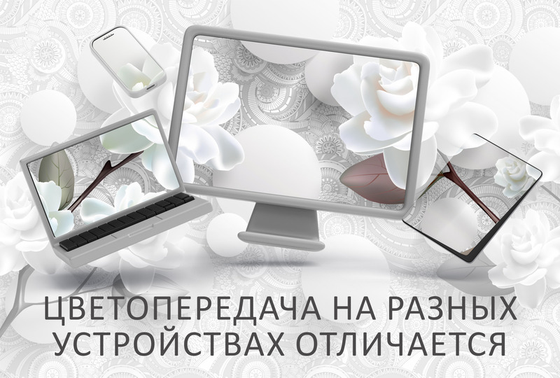 Белые розы на кружевном фоне