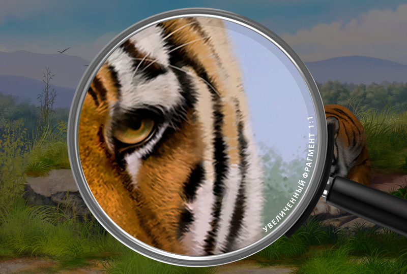 Два тигра в тишине