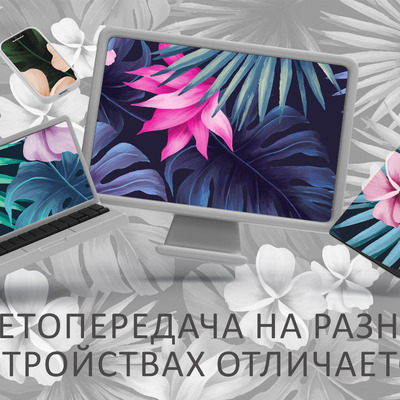 яркие краски джунглей