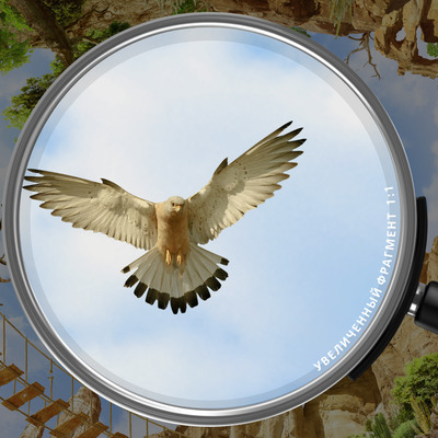 Висячий мост над каньоном