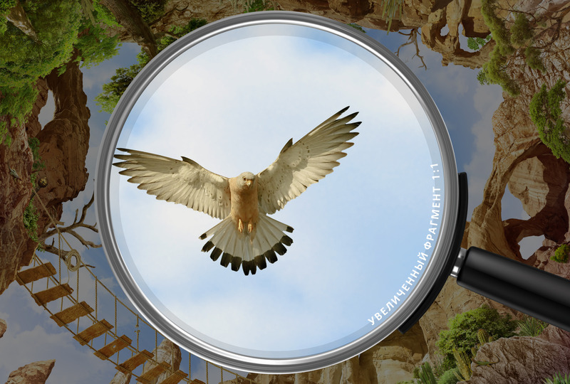 Висячий мост над каньоном