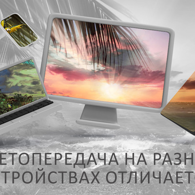 Остров сокровищ