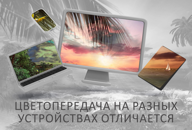 Остров сокровищ