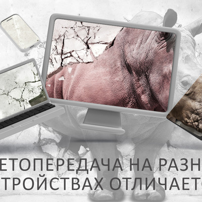 Рожденный в трещине стены