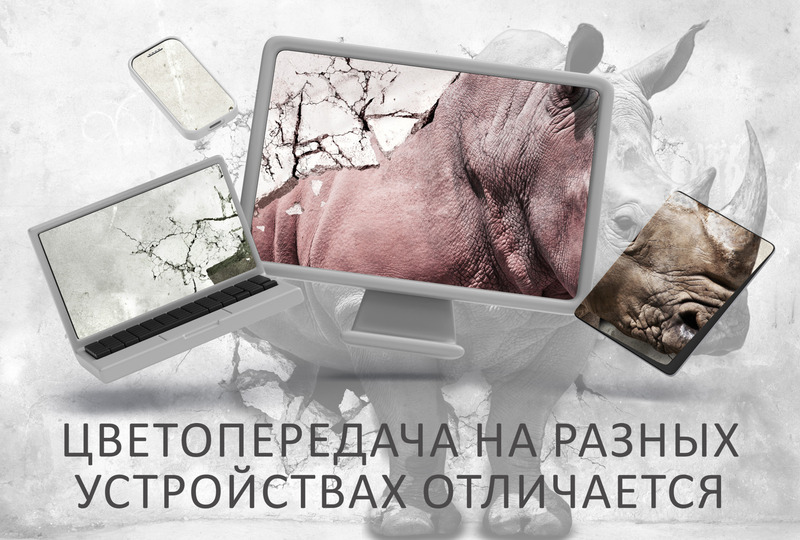 Рожденный в трещине стены