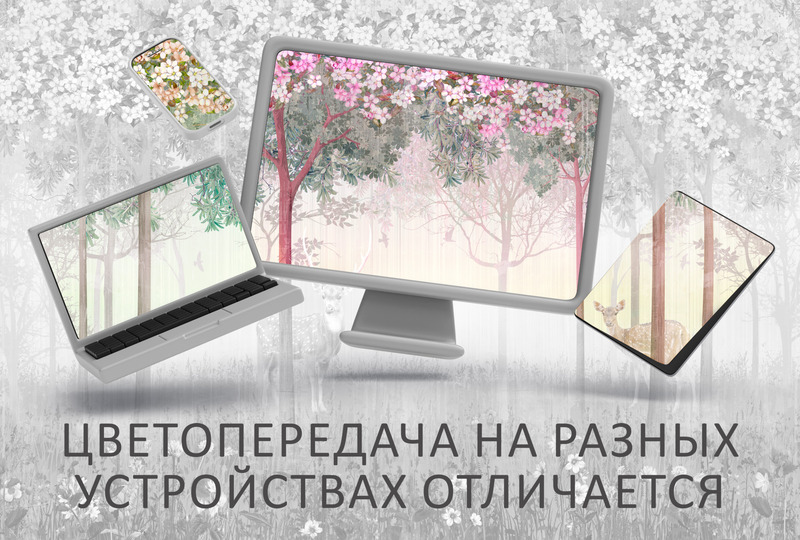 Лесной молчаливый закат