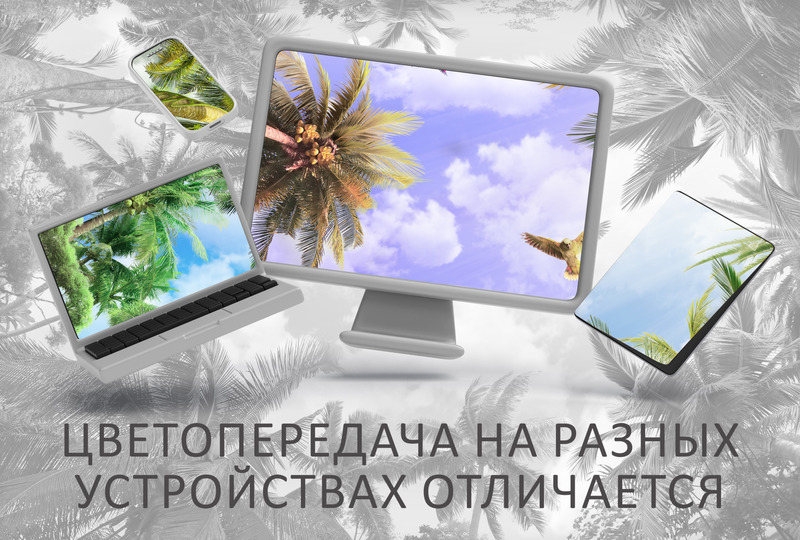 Тропический купол