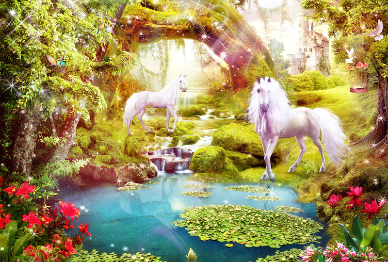 Заповедный лес единорогов