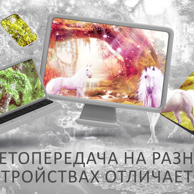 Заповедный лес единорогов