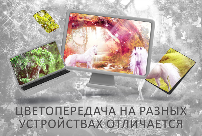 Заповедный лес единорогов