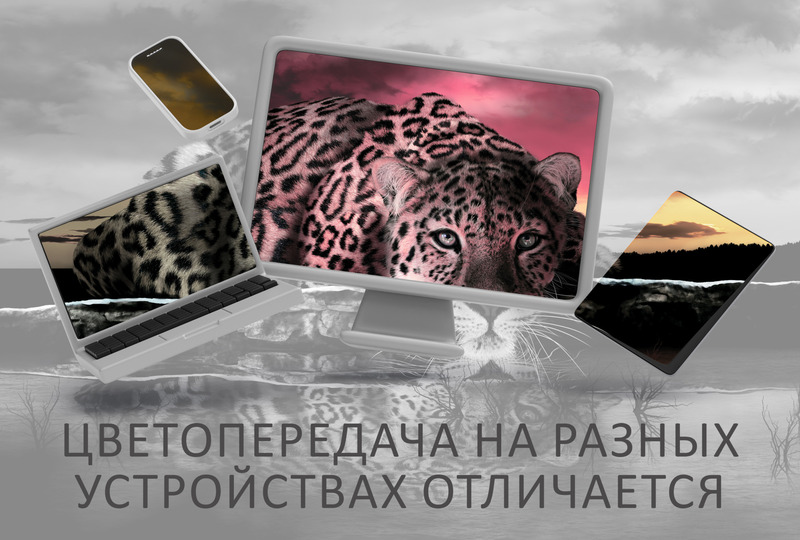 Ледяной леопард на закате