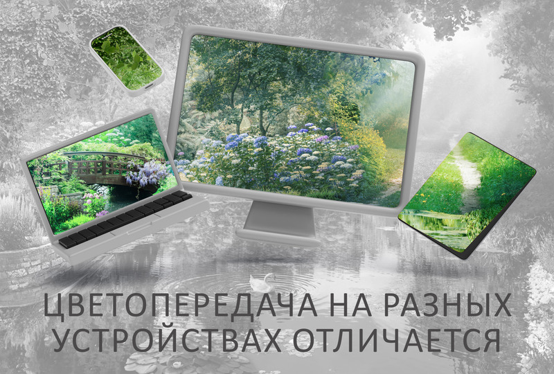 Лебедь в изумрудном саду