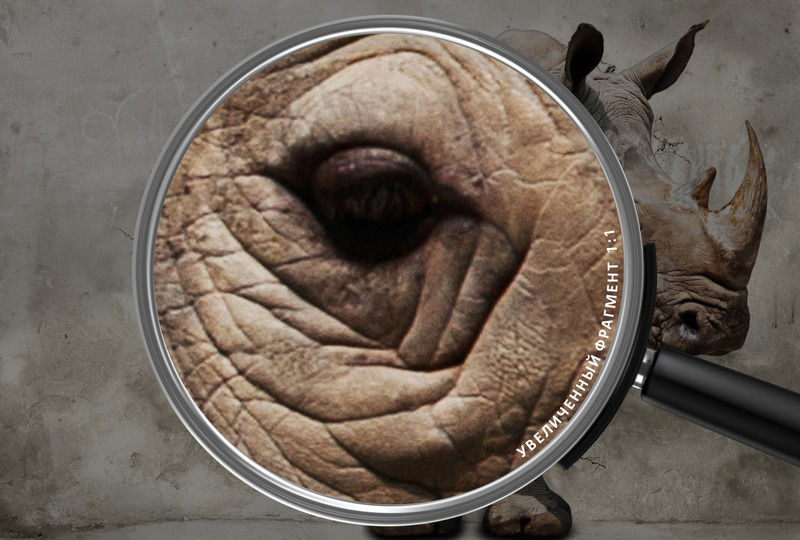 Рожденный в трещине стены