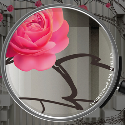 Розовый сад в 3D